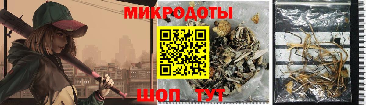 Галлюциногенные грибы GOLDEN TEACHER Луга