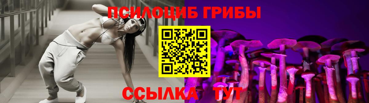 Галлюциногенные грибы Psilocybine cubensis  Вход с VPN  Галлюциногенные грибы Cubensis  Луга 